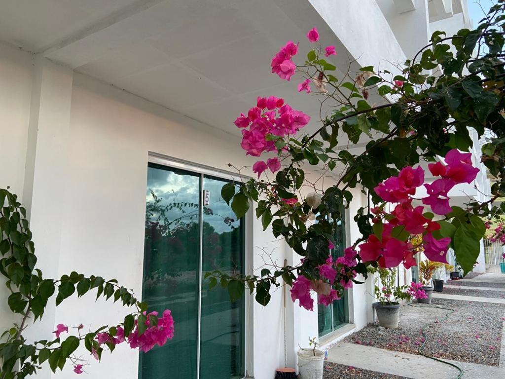 Solar Teixeira Flats Hotel Pôrto das Galinhas Eksteriør billede